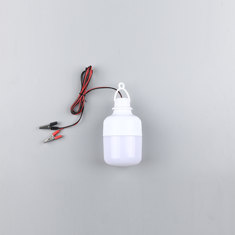 bulb-dc12v 24v