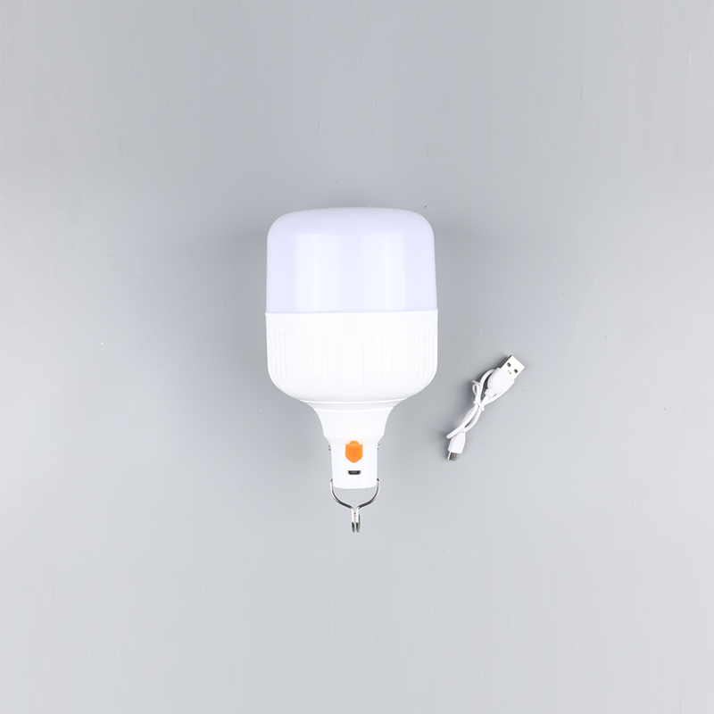 Bulbus Led-DC 12v 24v