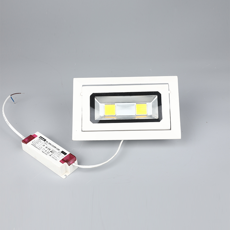 Diluvium ducitur lux diluvii