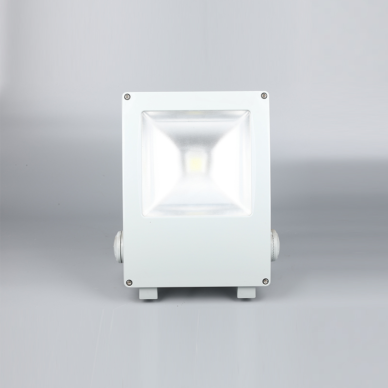 Diluvium ducitur penguin floodlight